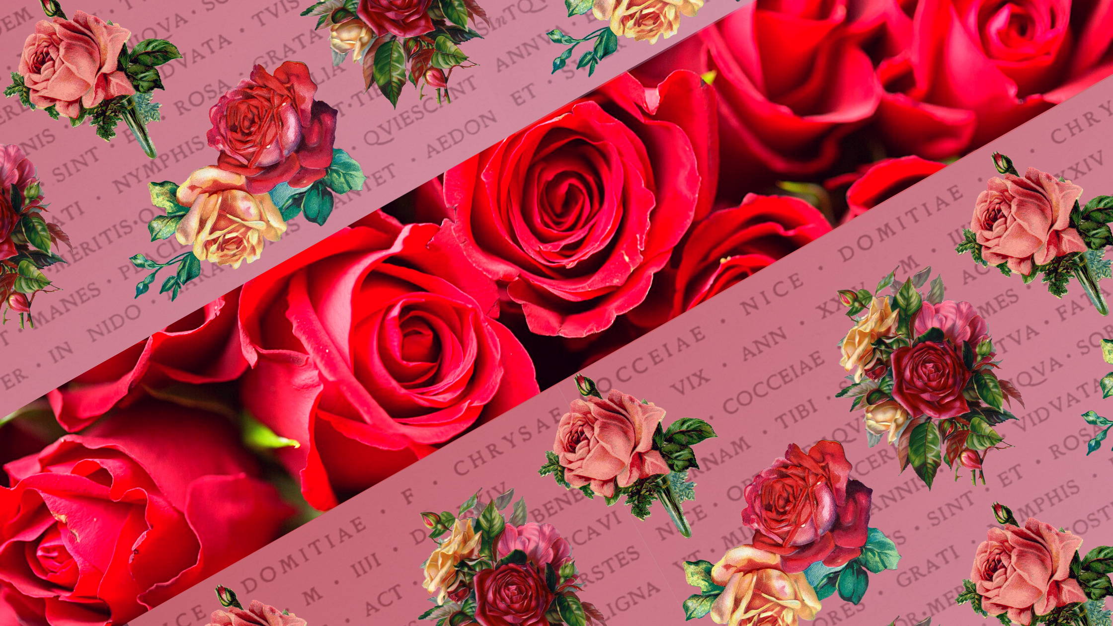 Are poems are mean red violets blue roses 75+ “Roses